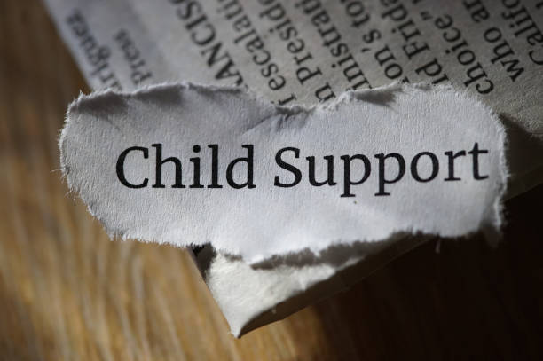 child support what does it cover