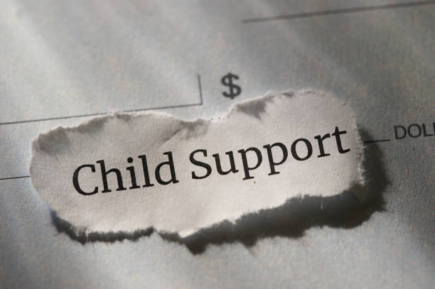 what does child support cover nsw
