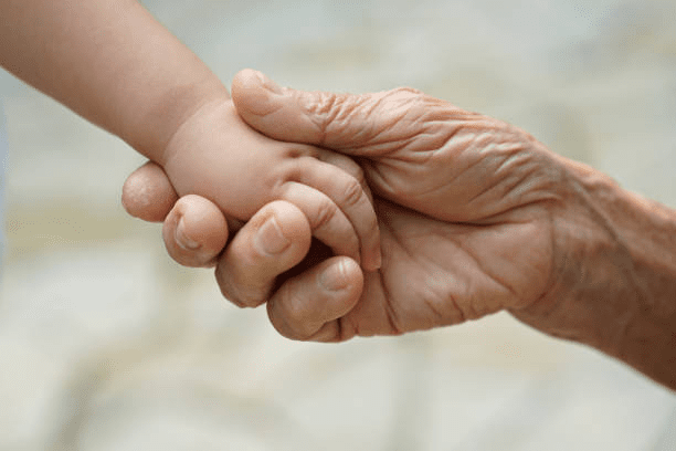 what rights do grandparents have to see their grandchildren