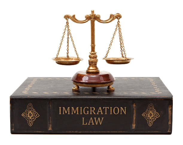 protection visa lawyers
