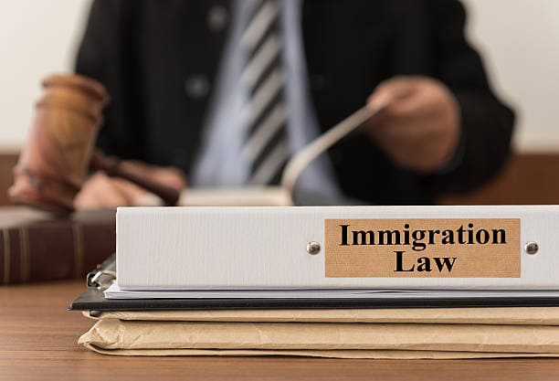 top immigration lawyers
