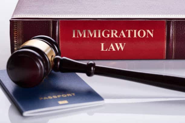 protection visa lawyers